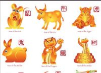 什么生肖的宝宝好最有福气、什么生肖的宝宝好最有福气呢