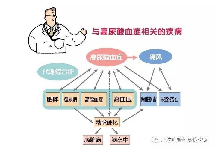 尿酸通俗讲叫什么、尿酸的概念是什么?