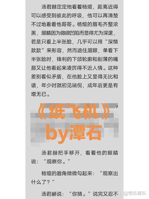 纸飞机小说完整版笔趣阁、纸飞机by潭石免费阅读