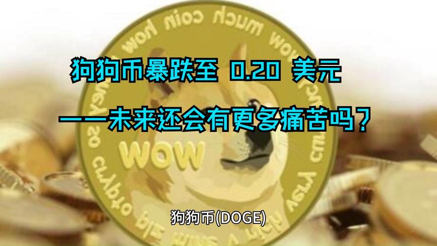 狗狗币历史最高价、狗狗币历史最高价格最低多少倍
