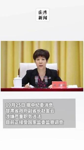 “女老虎”赵金云被决定逮捕的简单介绍